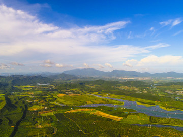 田野