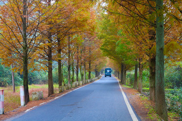 乡村公路