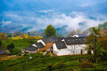 山村风景