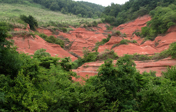 大横山红土坡玫瑰谷