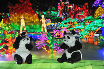 水上灯展熊猫