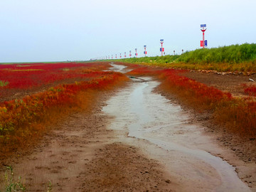 红海滩