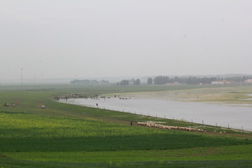 沽源闪电湖湿地