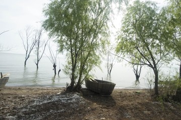 巢湖芦溪湿地