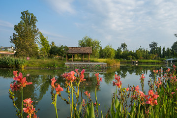 成都三道堰古镇彩虹桥湿地