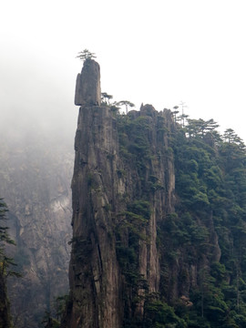 高山流云