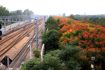 铁路边景观