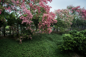 广州大学华软软件学院