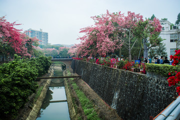 广州大学华软软件学院