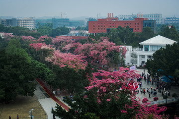 广州大学华软软件学院