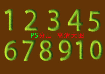 苔藓数字