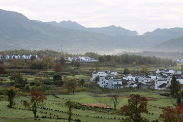 安徽山村