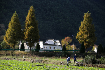 山村民居