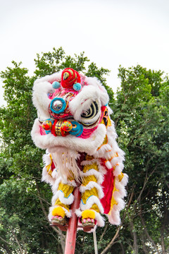 中国习俗舞狮狮子爬高杆