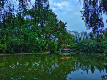 洪湖公园风景