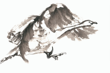 飛翔的鳥
