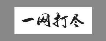 一網(wǎng)打盡