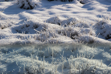 雪