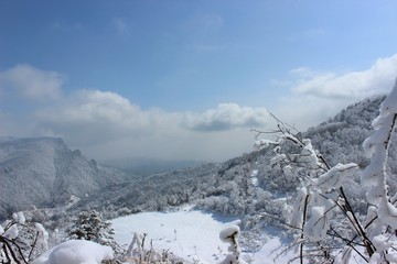 雪景