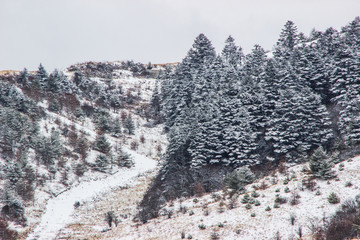 雪景