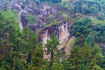 福建武夷山风景区云海风光