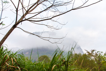 福建武夷山风景区大王峰远望