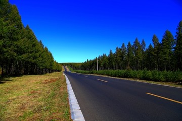 塞罕坝森林公路