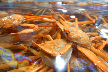 韩国束草特产红蟹食材