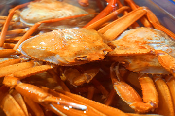 韩国束草特产红蟹食材