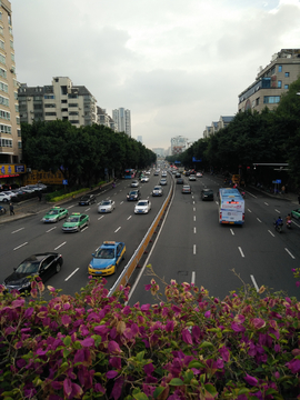 交通道路