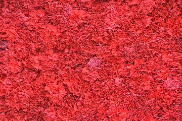 红色鲜花背景墙