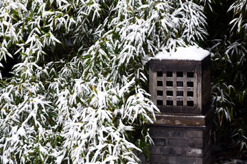 竹叶上的积雪