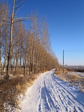 乡村雪景