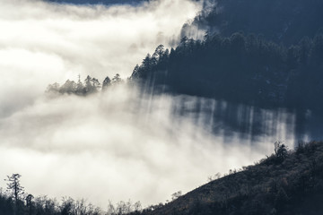 牛背山風光