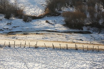 雪地树林