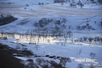 雪地树林