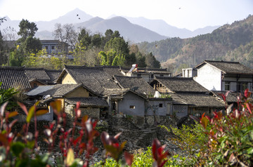 山居岁月