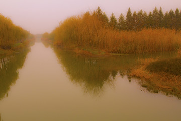 陆角嘴湿地