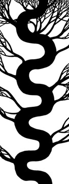 對屏歡喜樹