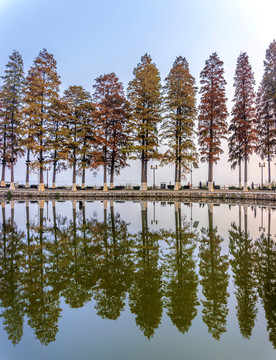 湖北武汉东湖听涛景区