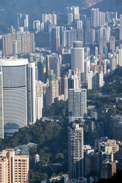 香港城市建筑群