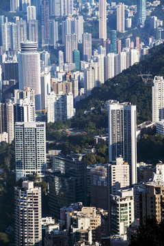 香港城市建筑群