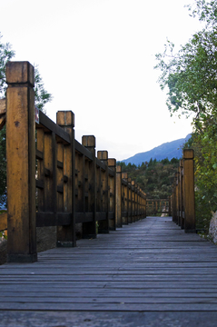 凤凰岭山路