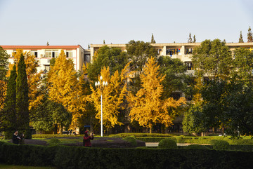 西华大学校园风光