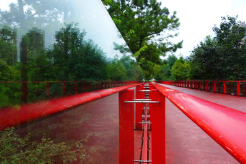 青枫公园玻璃桥