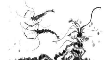 蝦米蘭花中國(guó)畫