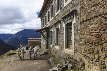 贡嘎寺