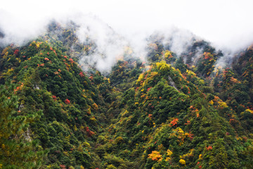 汶川拉姆湖秋色1