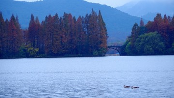 烟雨西湖秋色