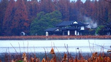 烟雨西湖秋色